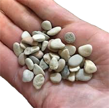 <p>A small stone, typically rounded and smooth.</p><p></p>