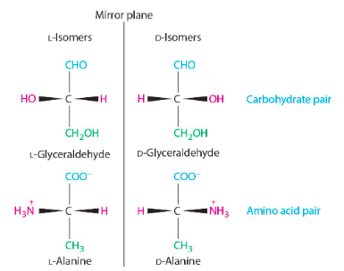 <p>L is the naturally occurring one</p>