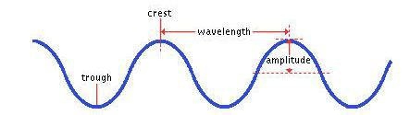 <p>The maximum point of a transverse wave.</p>