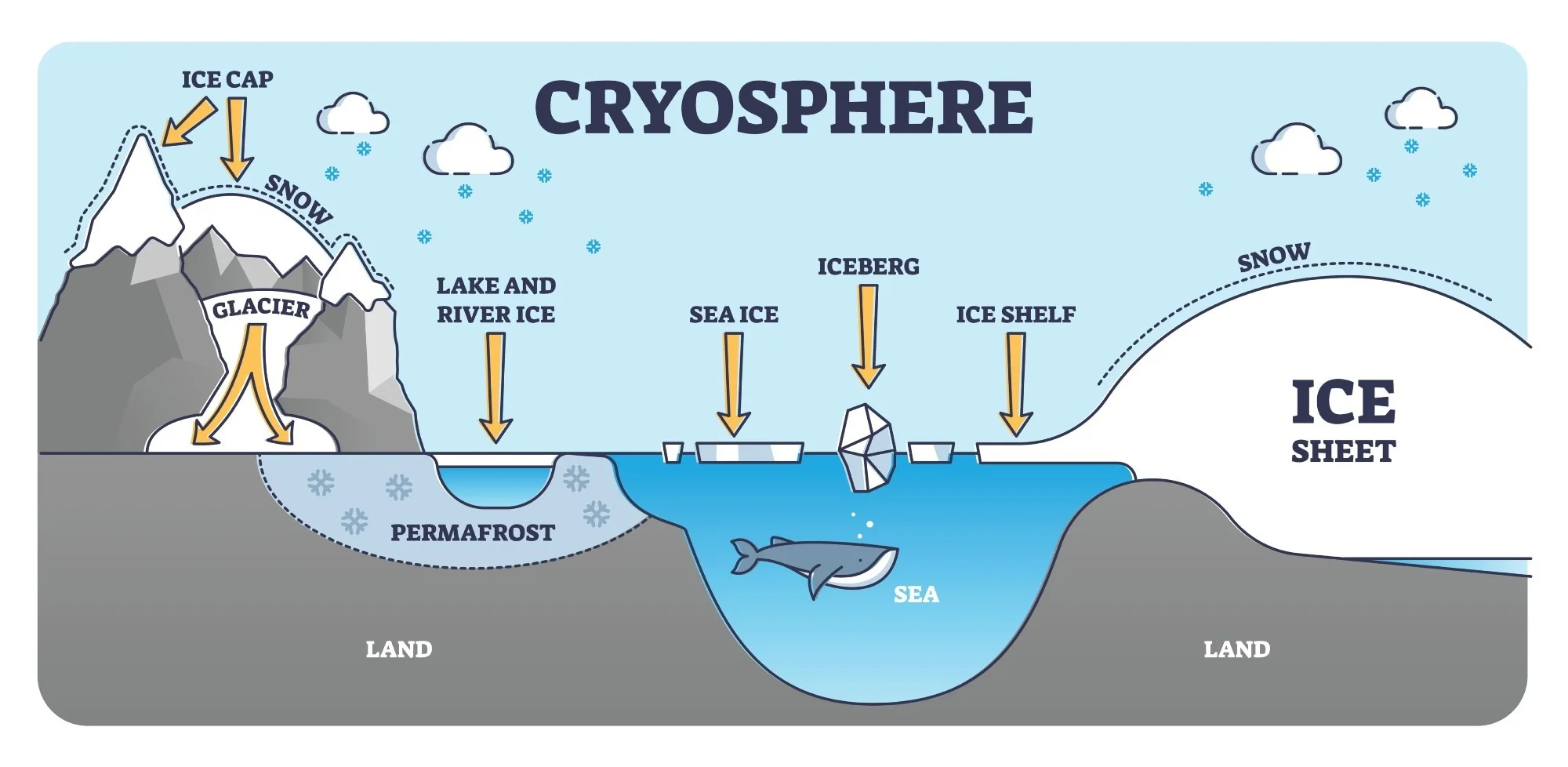 <p>Ice caps and ocean ice </p><p>North hemisphere (formed in the late Cenozoic era)</p><p>South hemisphere (formed in the mid Cenozoic era) </p>
