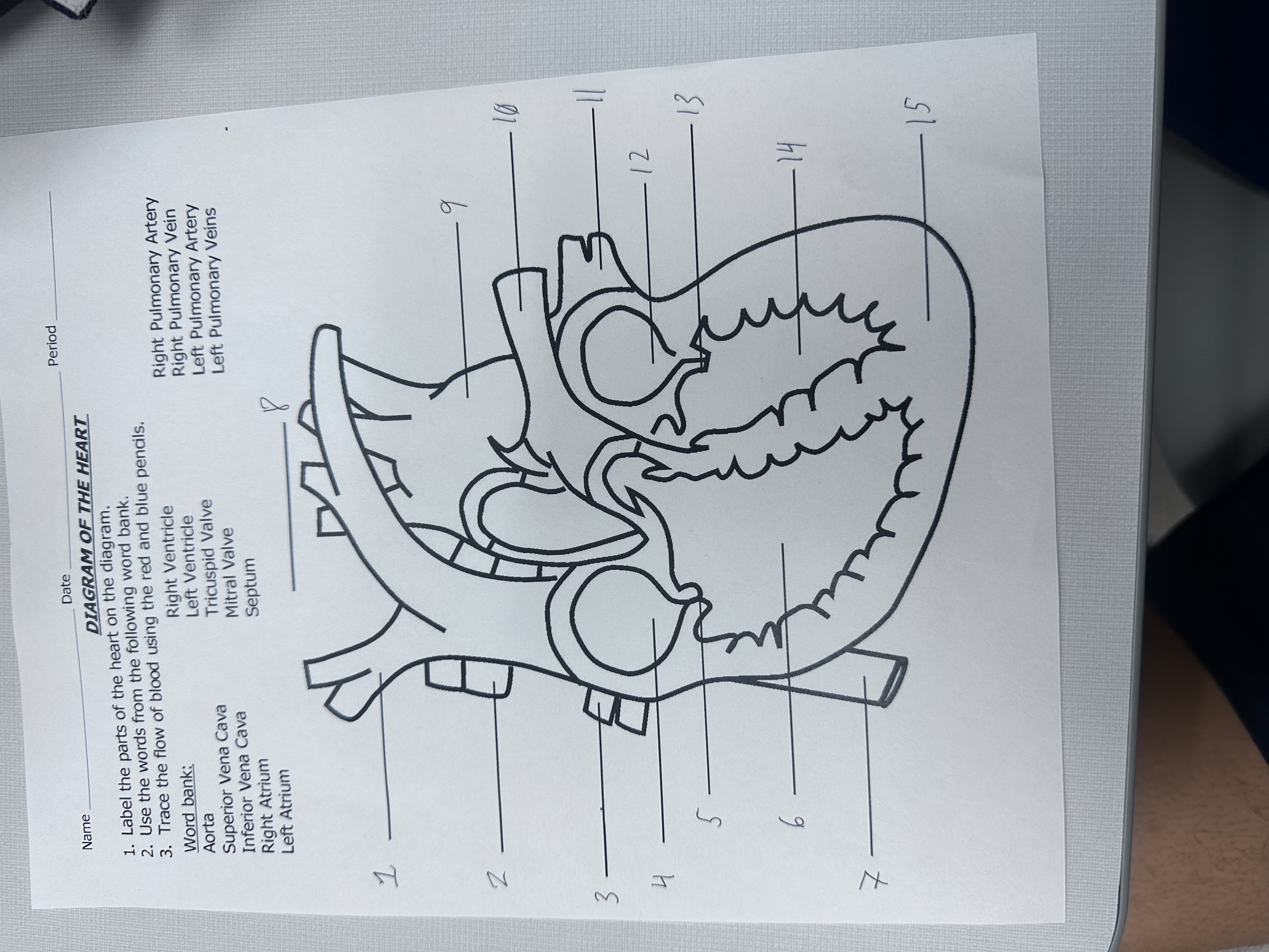 <p>10</p>