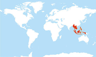 <p>What region is this?</p>