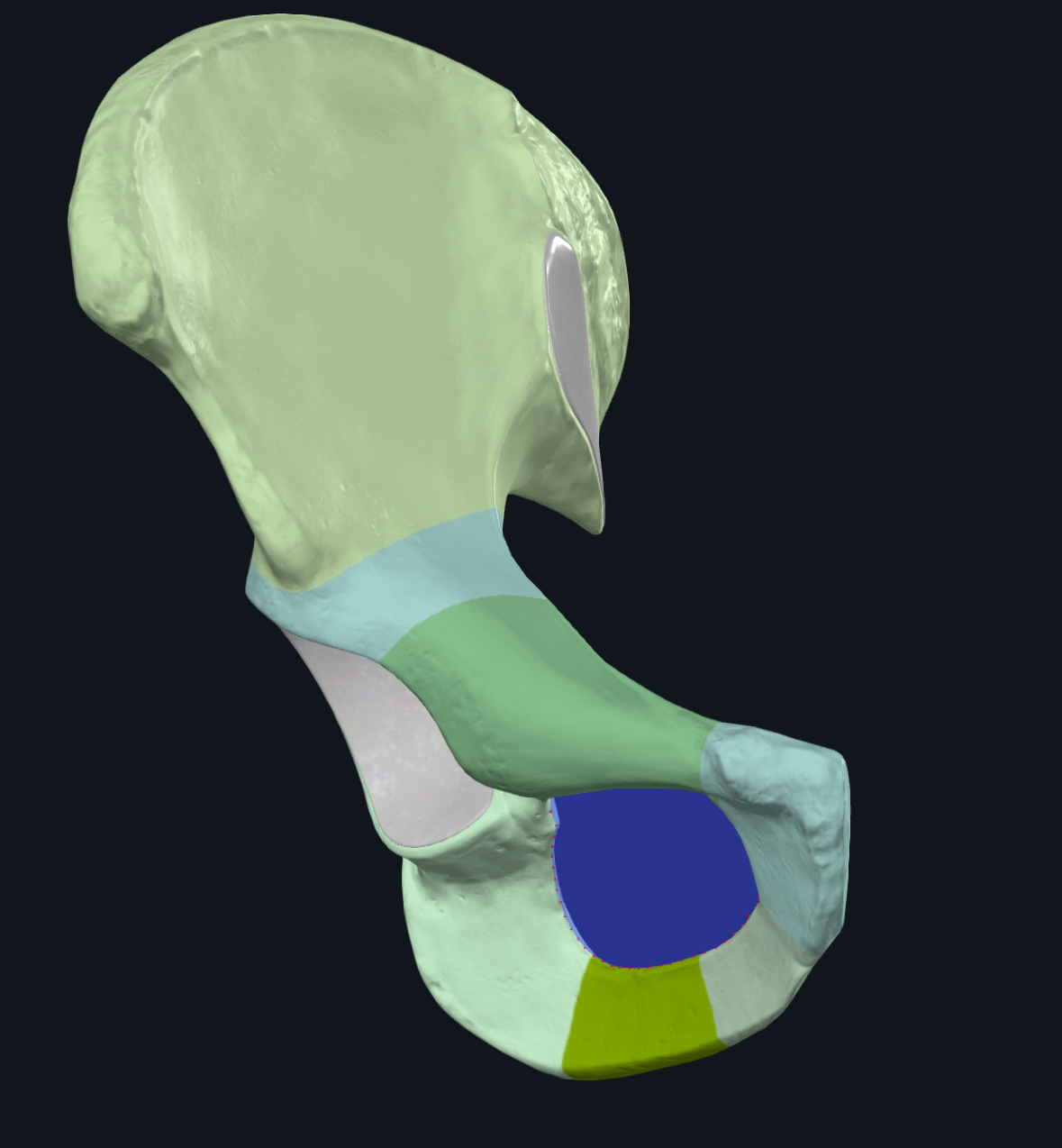 term image