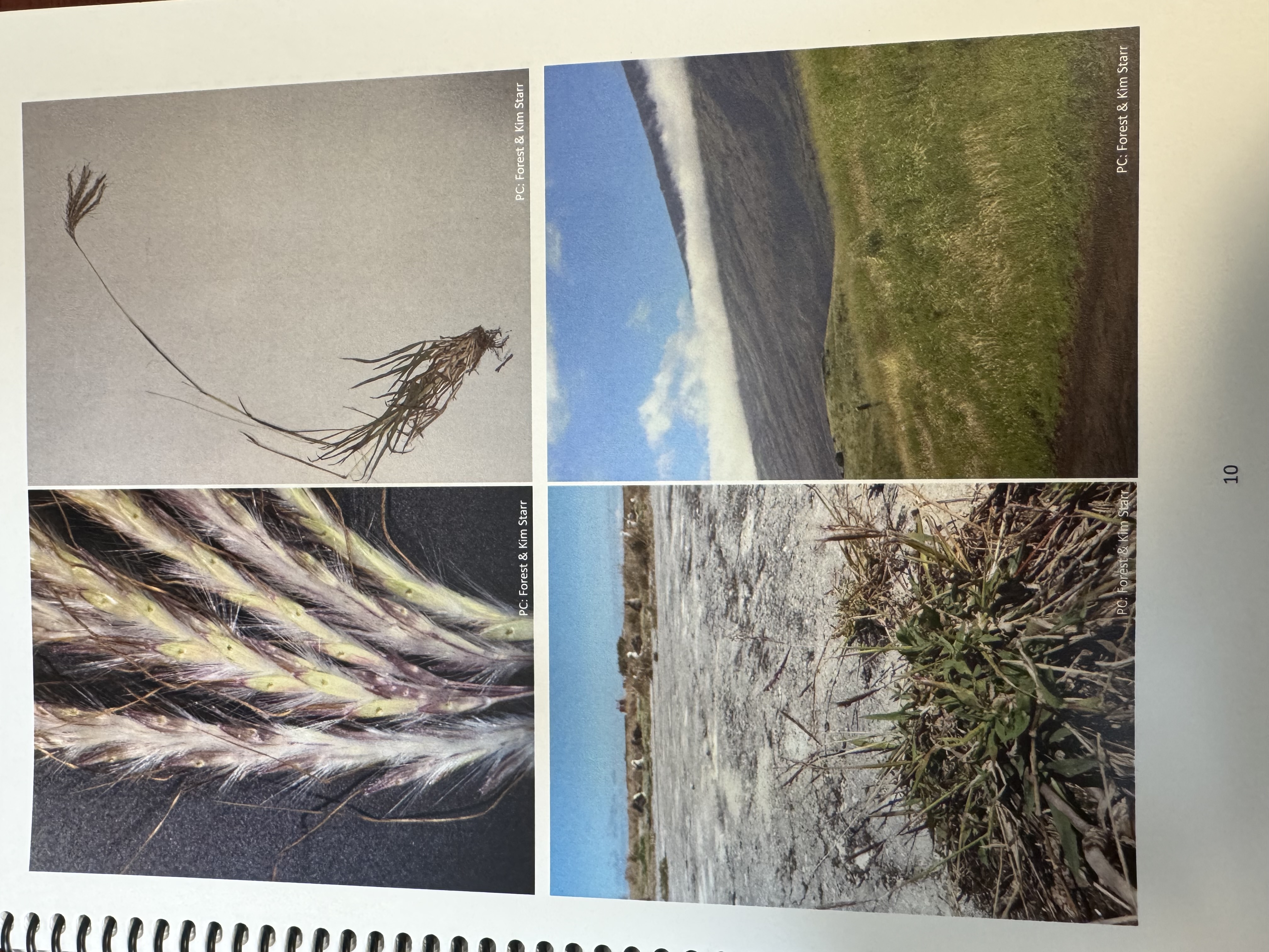 <img src="blob:null/9578f111-189c-47de-a6bf-26164190931d"><p></p>