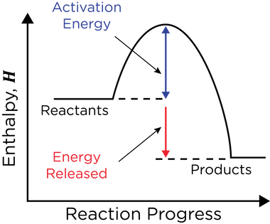 * In an exothermic reaction, energy is released to the surroundings.
* In an exothermic change, energy is transferred from the system to the surroundings
* The products have less energy than the reactants
* The enthalpy change is negative