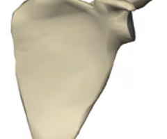 <p>right or left? </p>