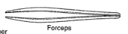 <p>used to grab small objects</p>