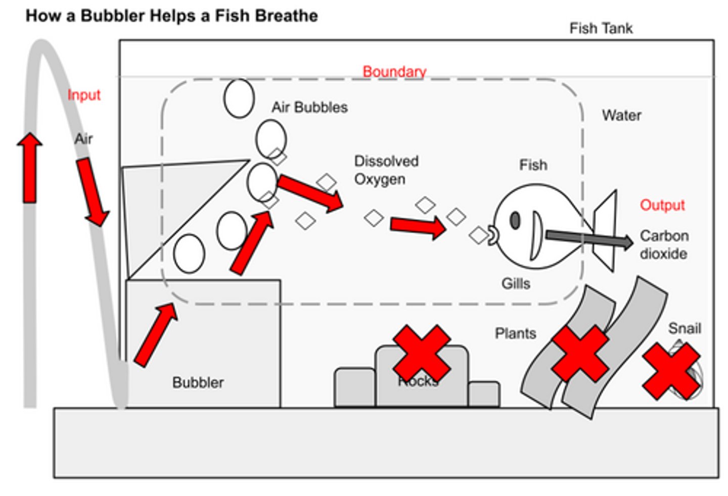 <p>a model that shows all of the parts and how they work together. It shows the inputs to the system, the outputs to the system, and the boundary of the system. It shows the flow of energy or matter through the system.</p>
