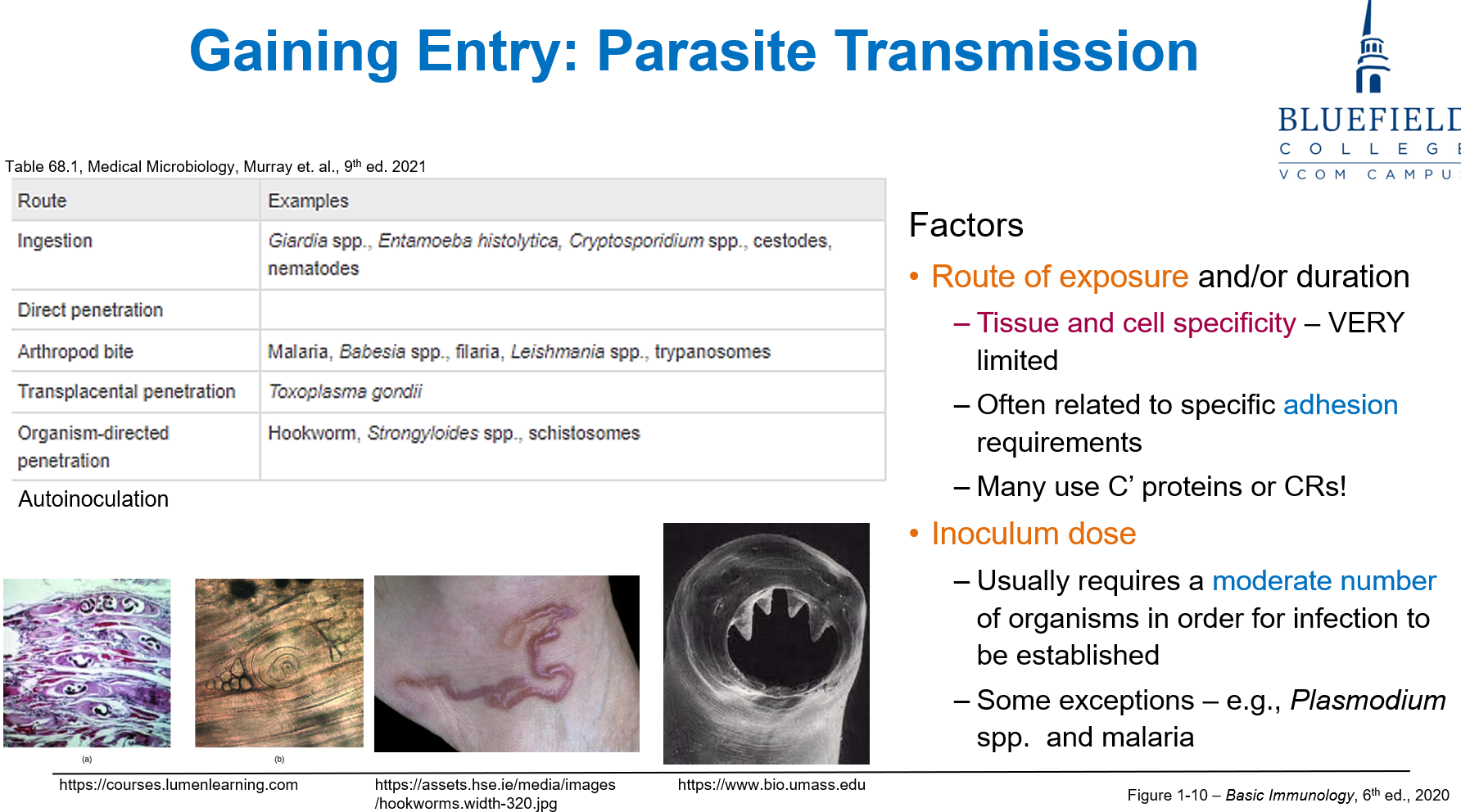 <p>D. <em>Plasmodium</em> spp.<br></p><p>Some parasites like <strong>Plasmodium and malaria</strong> can infect with <strong>few organisms</strong>, though others require larger doses.</p>