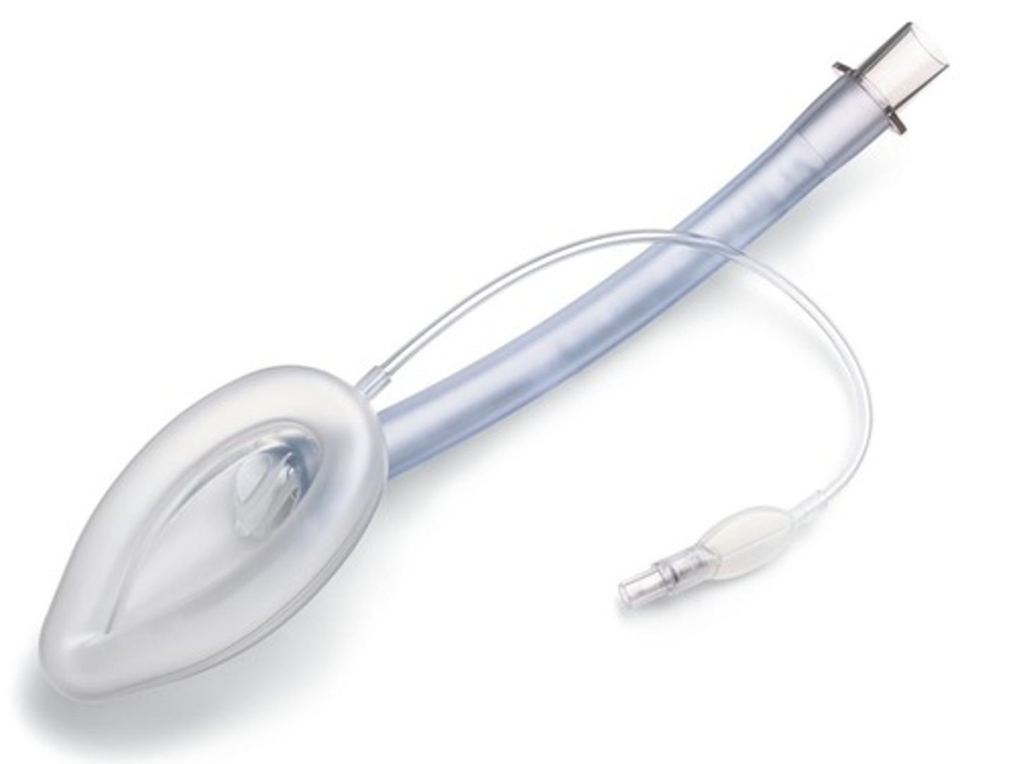 <p>LMAs have an inflatable cuff, vgels are designed to match anatomy of specific animal</p>