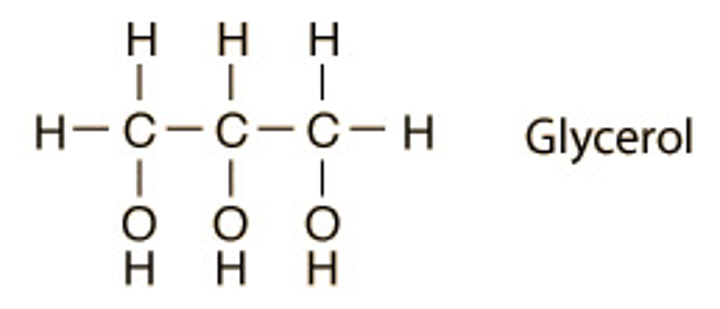 <p>3 carbon alcohol</p>