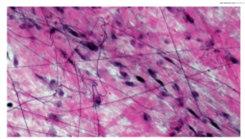 <p>What is this?</p>