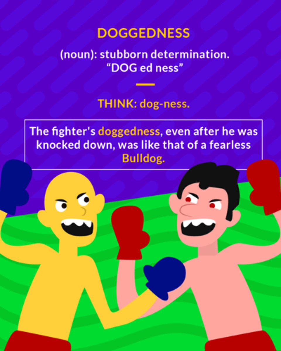 <p>persistence, stubbornness, determination</p>