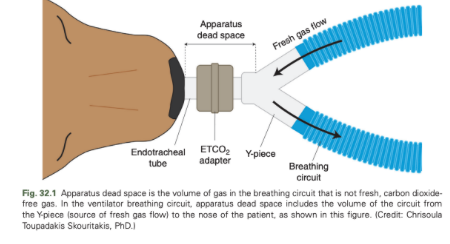 <p>The volume of the circuit from the Y-piece to the nose of the patient</p>