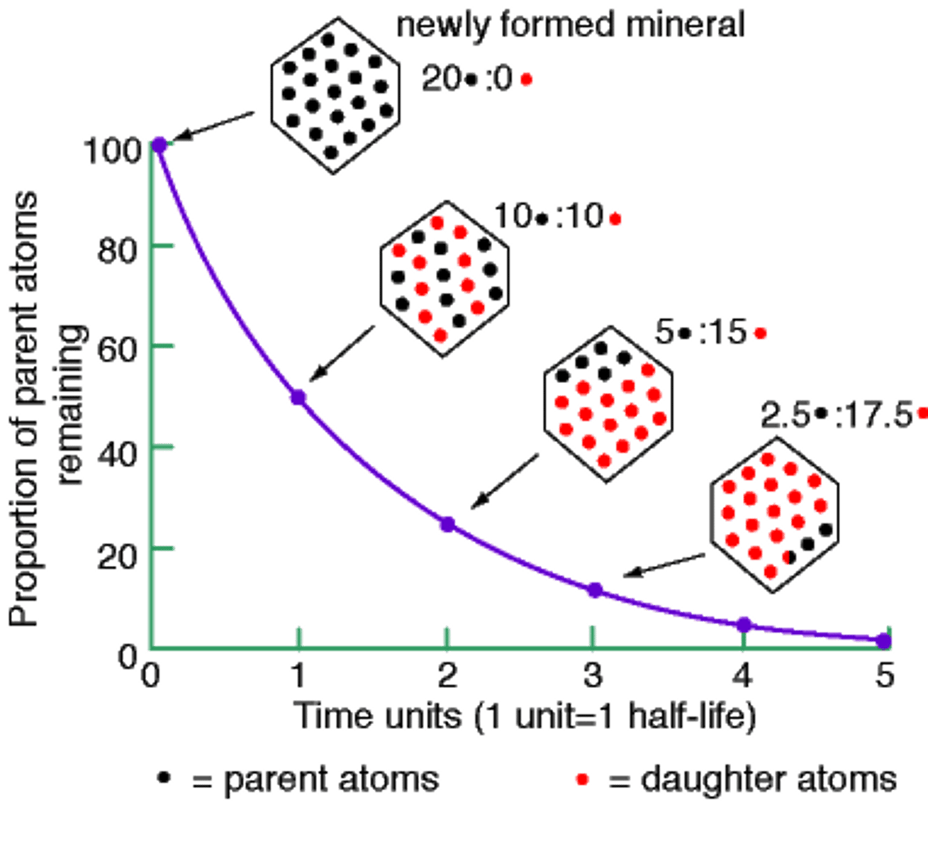 <p>length of time required for half of the radioactive atoms in a sample to decay</p>
