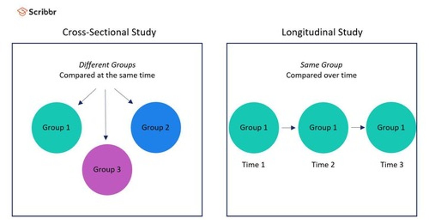 <p>A descriptive research method that analyzes data collected from a population, or a representative subset, at a specific point in time.</p>
