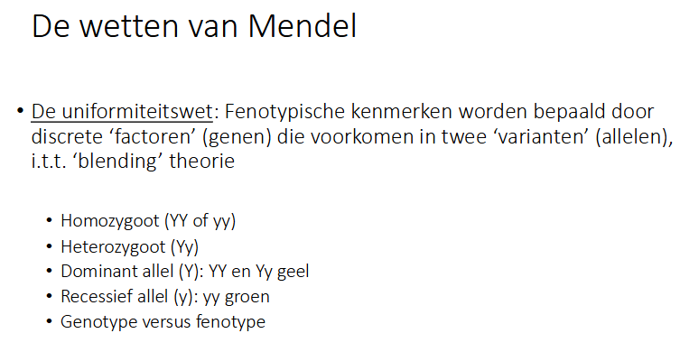 <p>Fenotypische kenmerken worden bepaald door discrete ‘factoren’ (genen) die voorkomen in 2 ‘varianten’ (allelen) itt ‘blending’ theorie (was niet correct)</p>