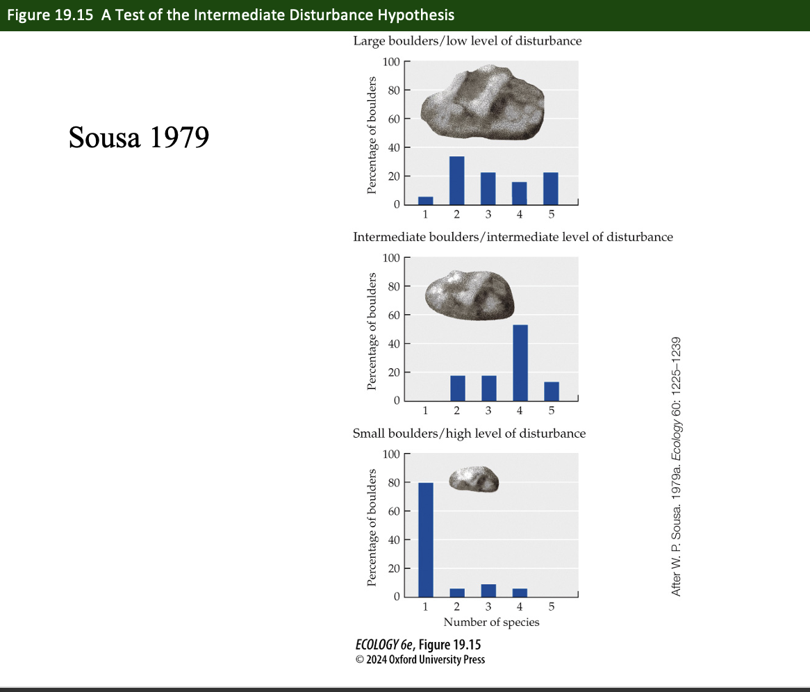 <p>Figure 19.15- Sousa’s Boulder Field Study</p><p>Experiment</p>