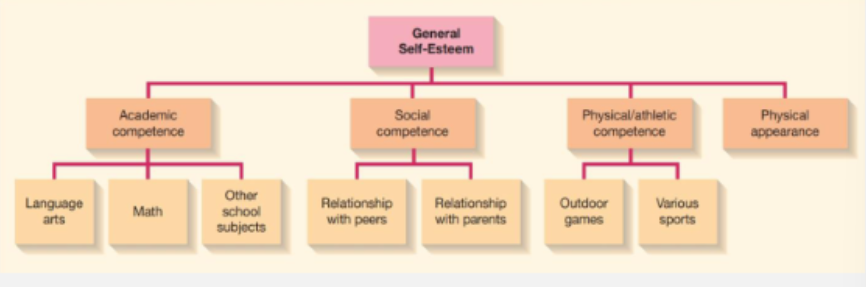 <p>Over all evaluation of one’s worth or value, it is influenced by how children feel about their abilites in specific areas.</p><ul><li><p><strong>Academic Competence </strong>- How confident a child feels in school subjects </p></li><li><p><strong>Physical/athletic commpetence - </strong>How skilled/capable they believe they are in sports.</p></li><li><p><strong>Social competence - </strong>How well they think they interact with peers</p></li><li><p><strong>Physical appearance - </strong>How satisfied they are withhow they look</p></li></ul><p></p>
