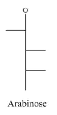 <p>pent- aldose</p><p>L, R, R</p>