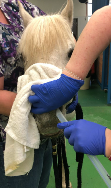 <p>for more complicated cases, can help visualize obstruction, assess mucosa, and retrieve material</p>