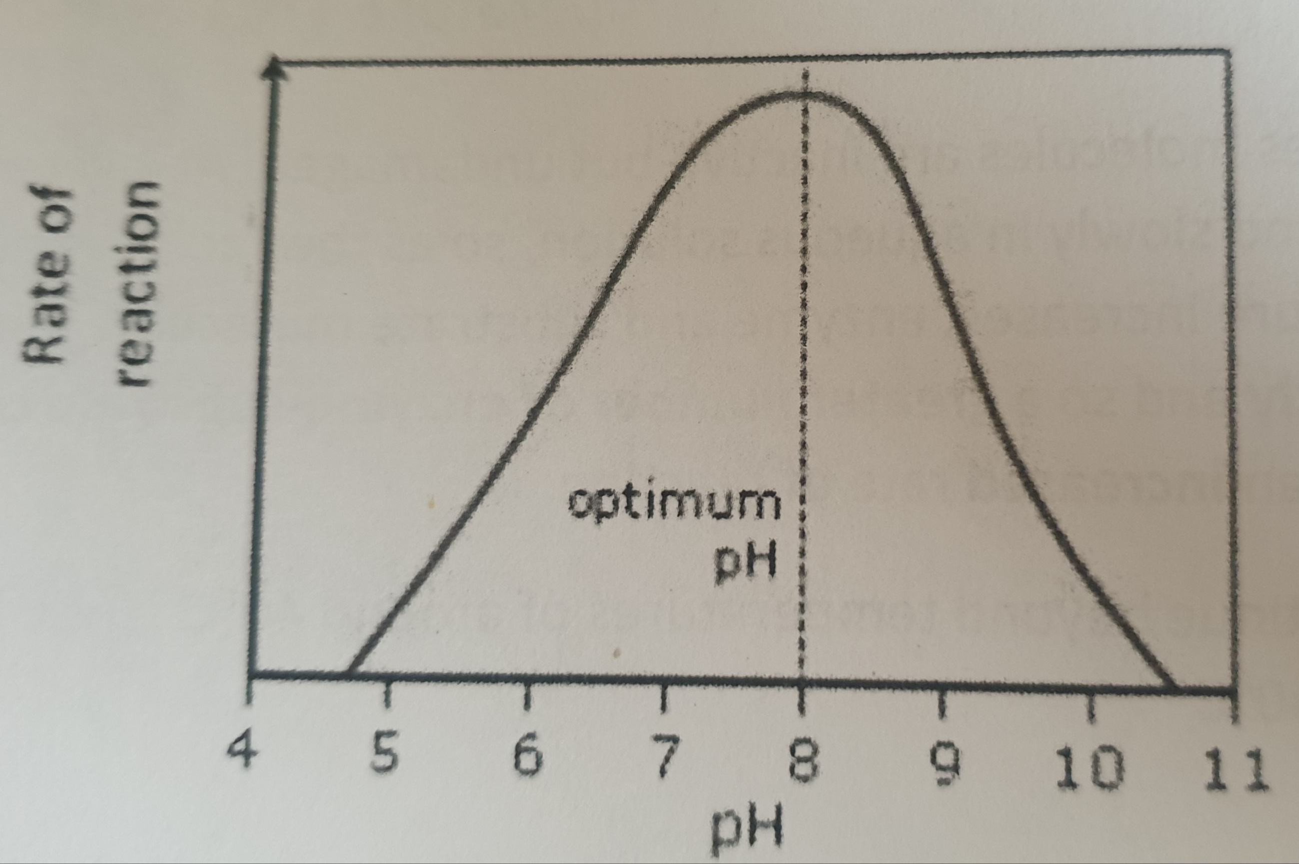<p>Explain what is happening on this graph.</p>