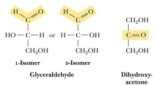 <p>location of the carbonyl carbon </p>