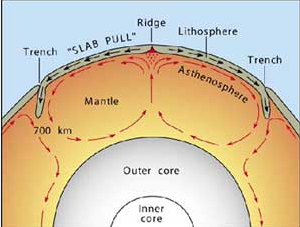 <p>Convection is the transfer of heat through the movement of fluids, where warmer, less dense material rises and cooler, denser material sinks, playing a key role in driving plate tectonics. </p>