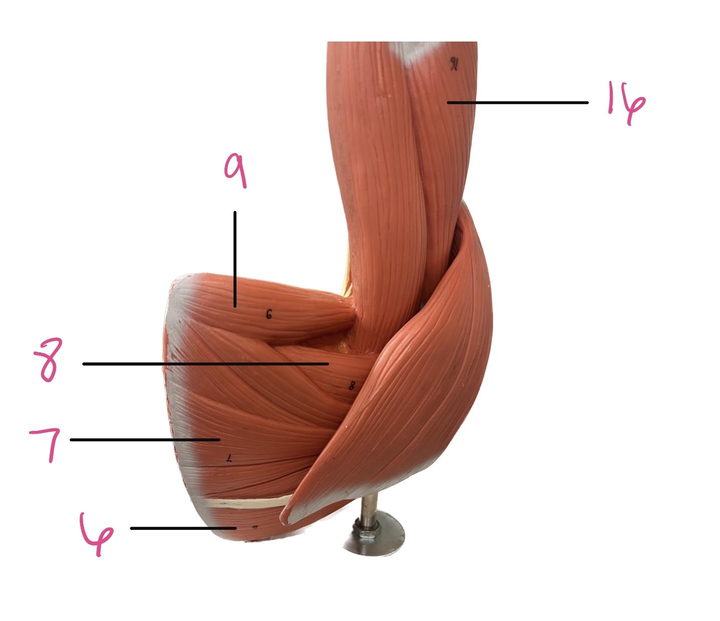 <p>8 </p>
