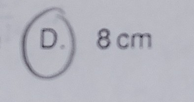 <p>8cm</p>
