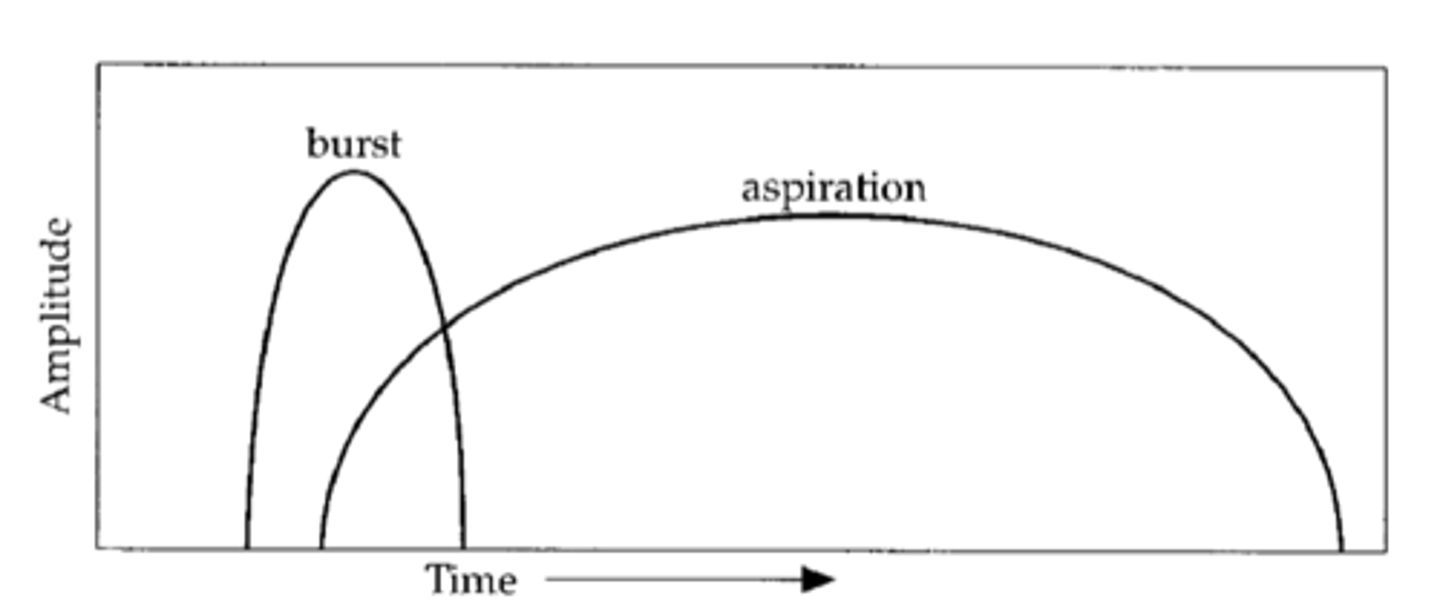 <p>burst noise, and aspiration noise</p>