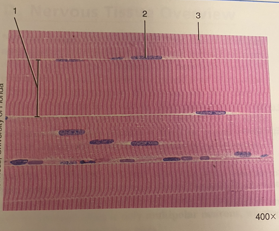 <p>what is this, and label </p>