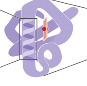 <p>what is this </p>