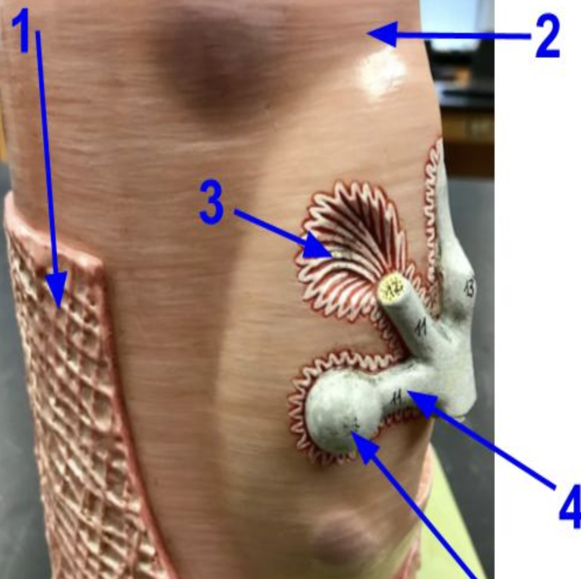 <p>What Is 3 Indicating</p>