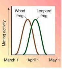 <p>-<u>different species</u> <u>breed</u> at <u>different times of Year</u></p>