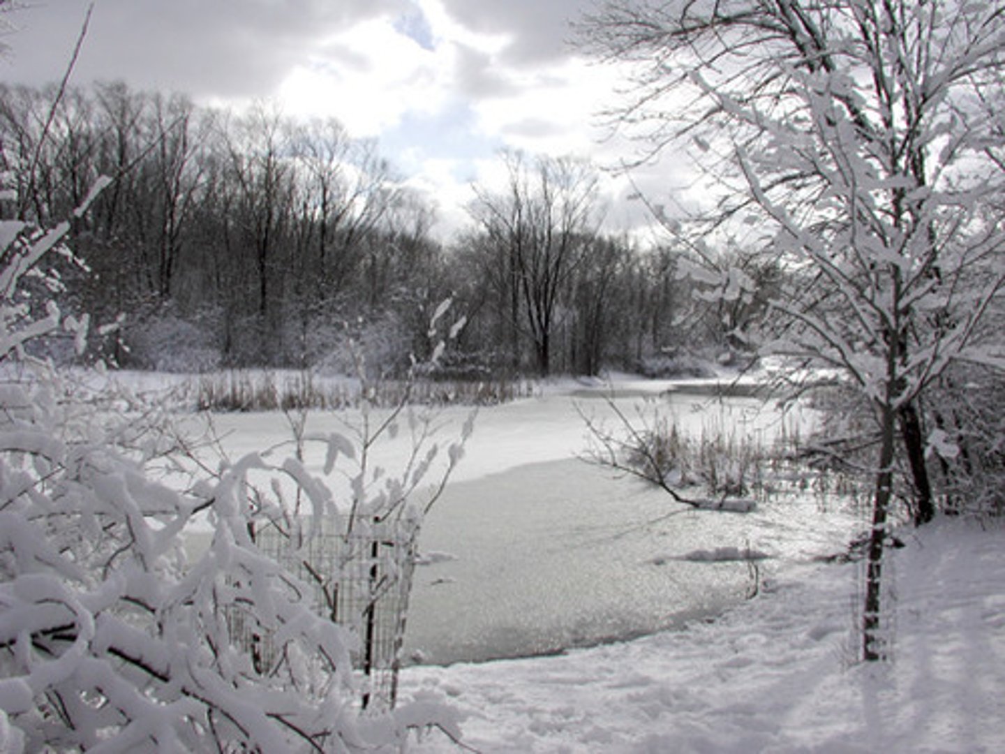 <p>Warm summers and colder winters (shorter growing season)</p>