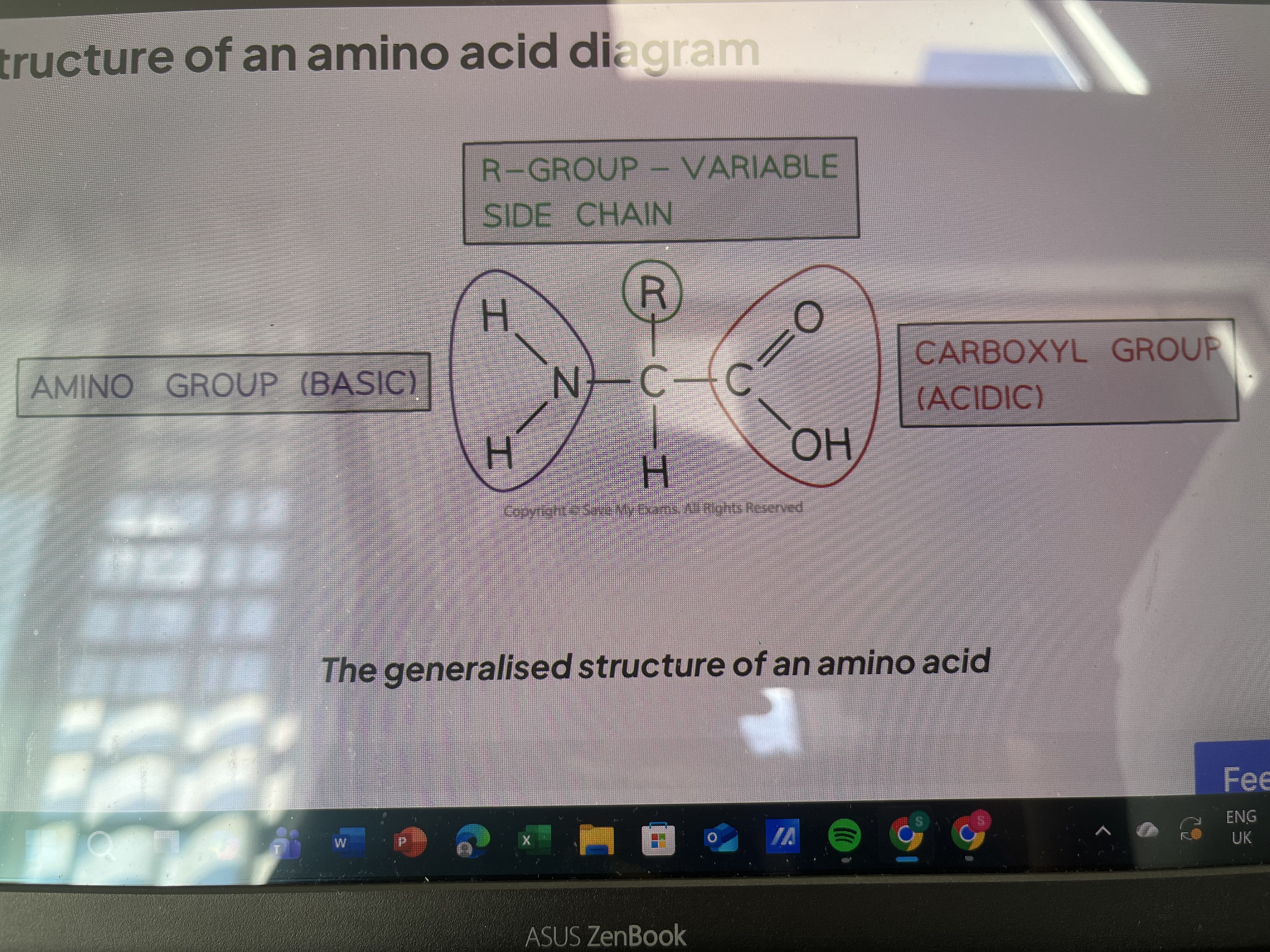 <p>Amino grp, R-grp, carboxyl grp</p>