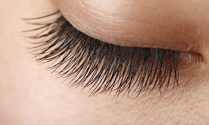 les cils, the eyelashes