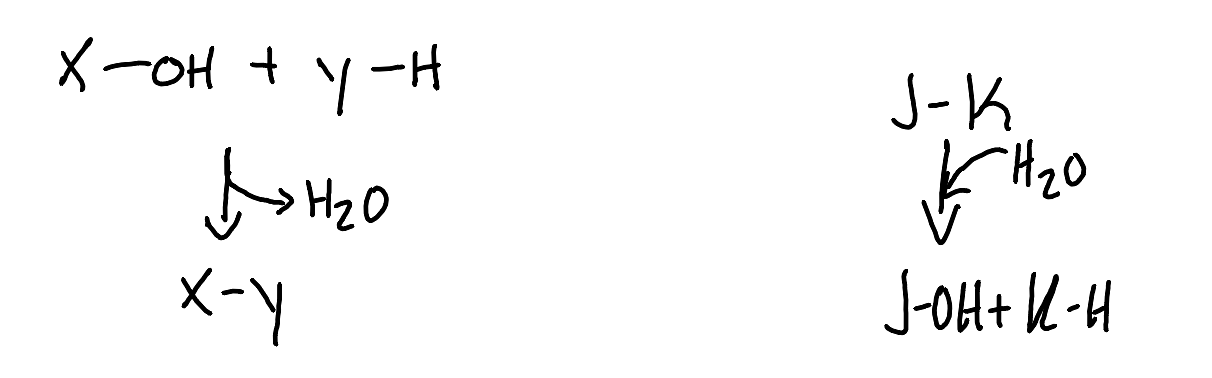 <p>If X/Y/J/K concentrations are µM or mM, which type of reaction will be thermodynamically favorable in water?</p>