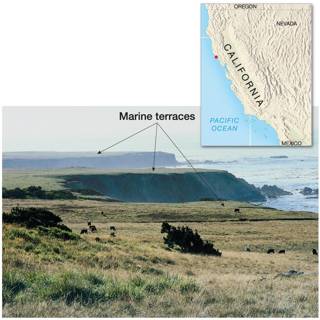 <p><span>In places where the elevation of the land relative to sea level has changed over time, wave-cut platforms may form <strong>wave-cut terraces </strong>that rise like stair steps back from the coast</span></p>