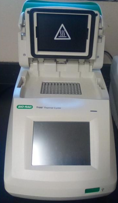 <p>thermocycler</p>
