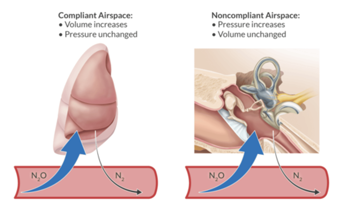<p>increase the volume - blebs, bowel, air bubbles in the blood. </p><p>in a fixed airspace, N2O increases the pressure of the space (middle ear, eye during retinal detachment surgery, brain during intracranial surgery)</p>