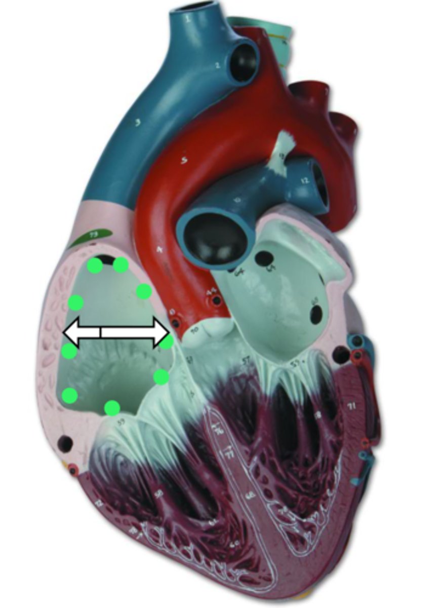 <p>name the structure</p>