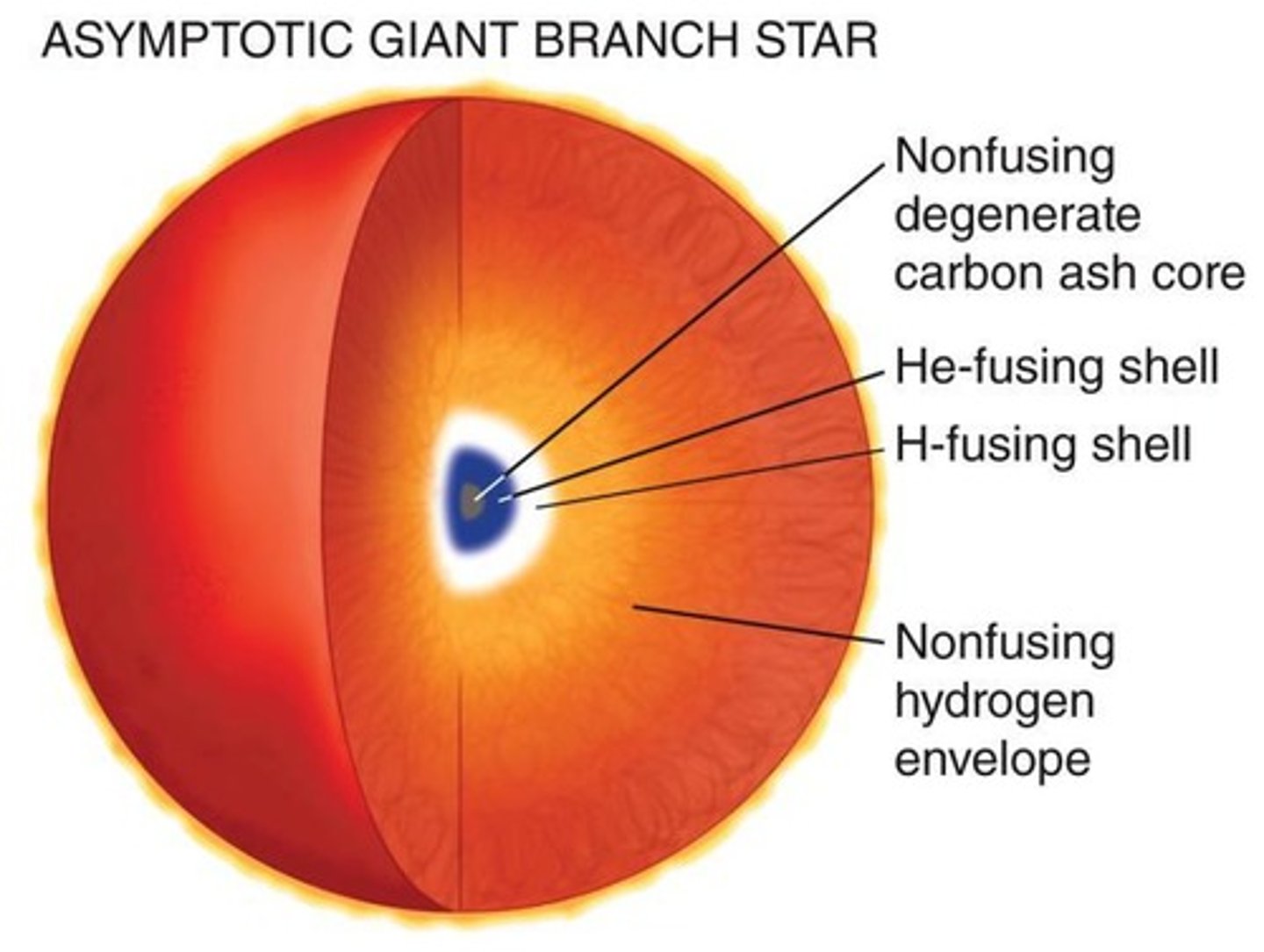 <p>AGB stars are in their second red giant phase, with a degenerate C-O core, a shell of helium surrounding the core, and a shell of hydrogen surrounding the helium.</p>