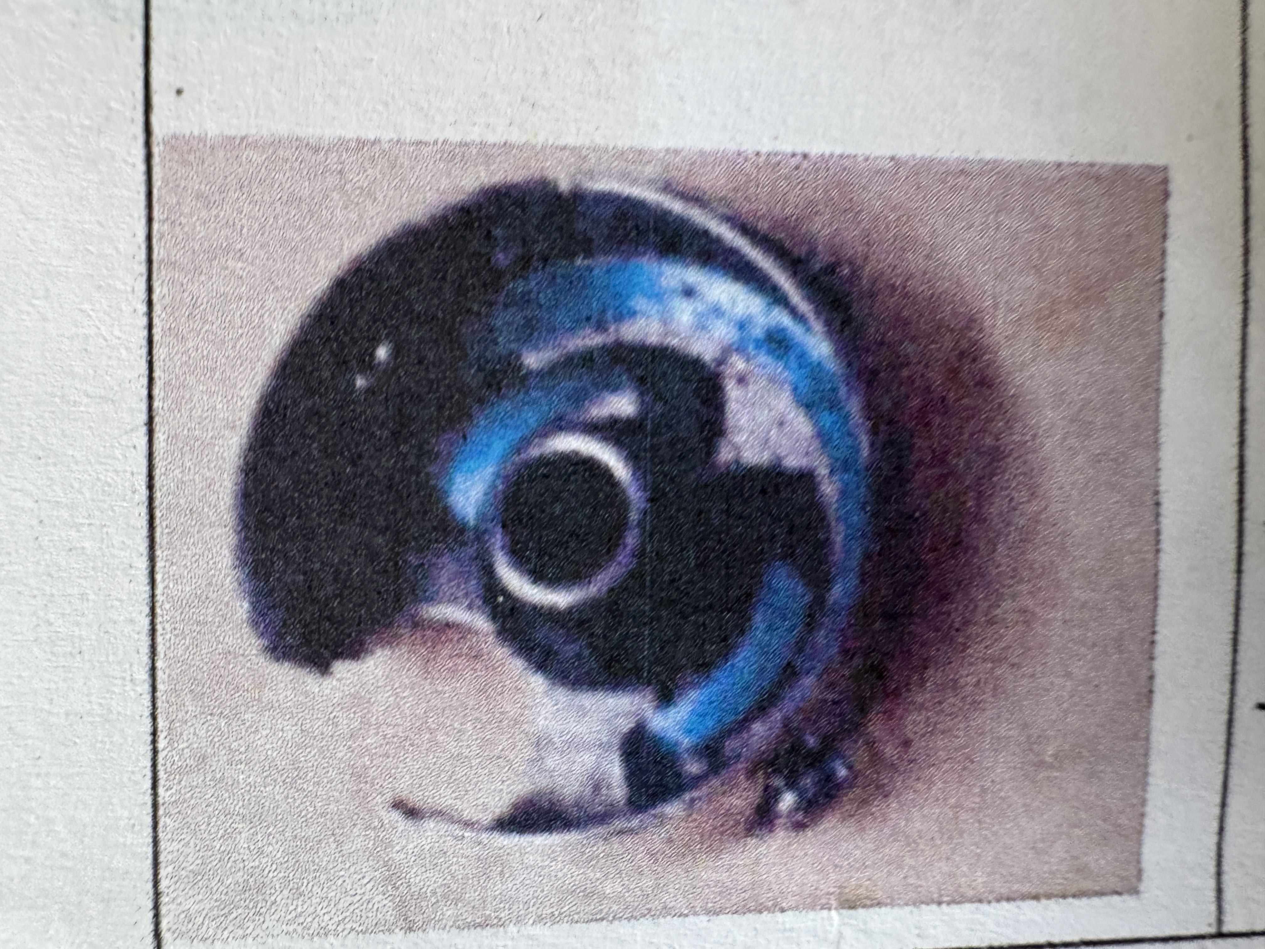 term image
