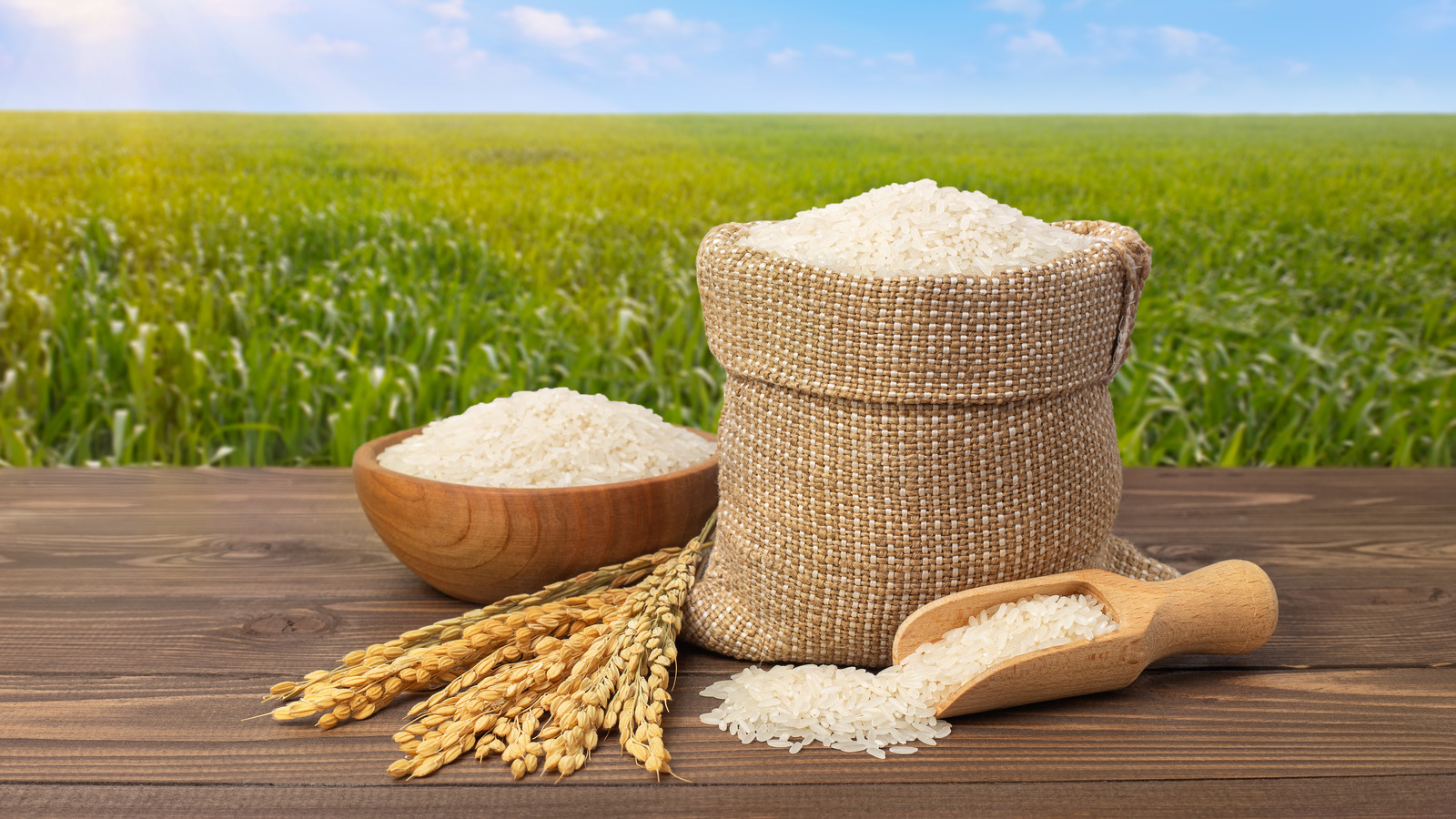 <p>rice (uncooked)</p>