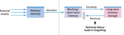 <p><span>a type of forgetting where information, though stored in long-term memory, cannot be accessed or retrieved when needed</span></p><ul><li><p><span>This happens due to the absence of sufficient retrieval cues or the interference of other information.&nbsp;</span></p></li></ul><p></p>