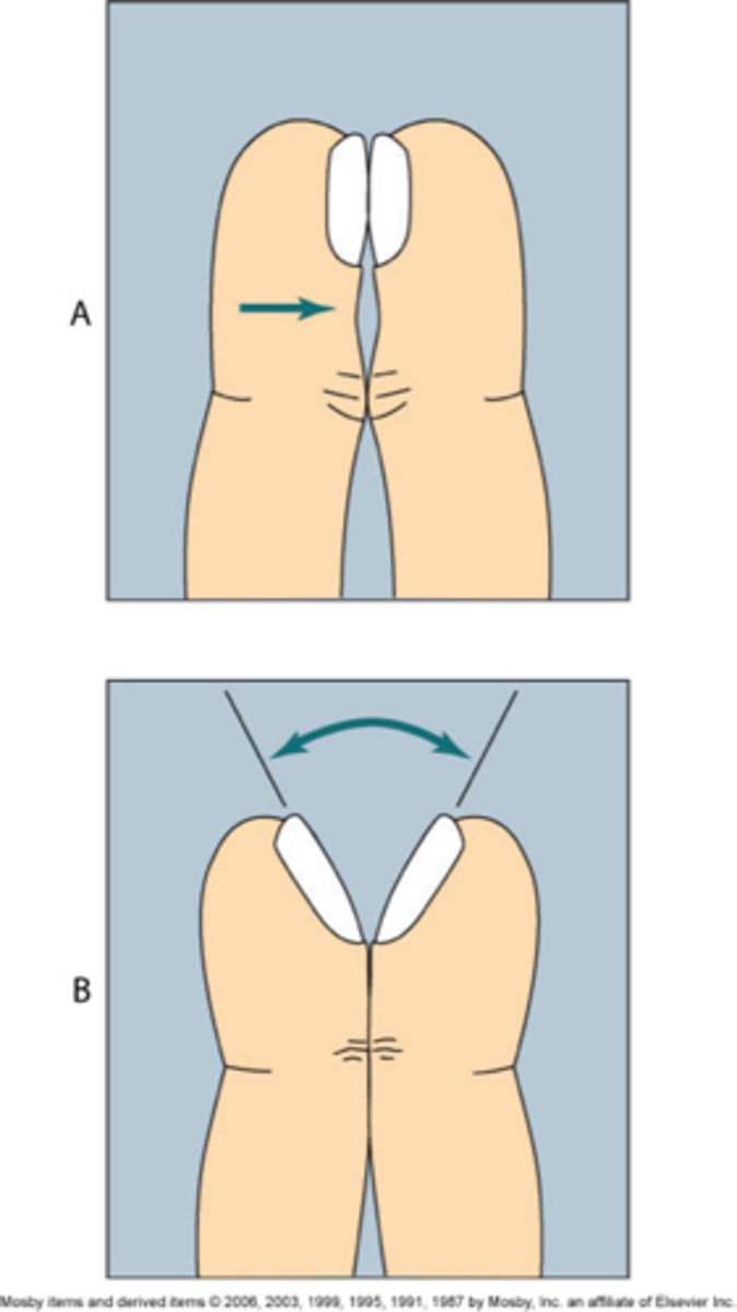 <p>Inspect and palpate the fingernails and toenails - note clubbing</p>