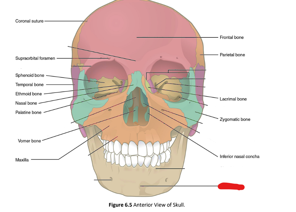 term image
