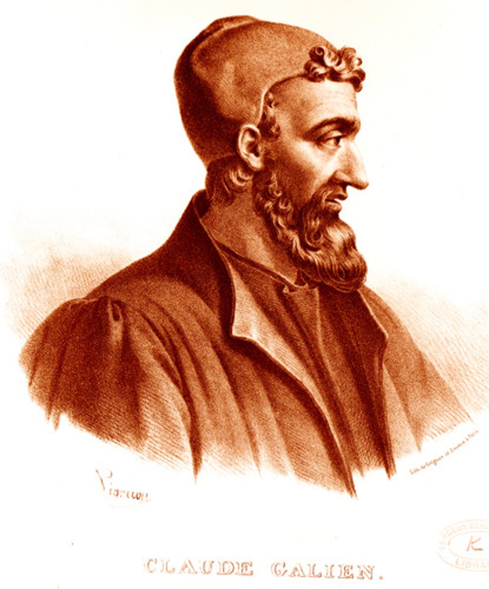<p>Greek physician whose inaccurate theories about human anatomy dominated medicine until the Scientific Revolution, such as his belief in four bodily humors.</p>